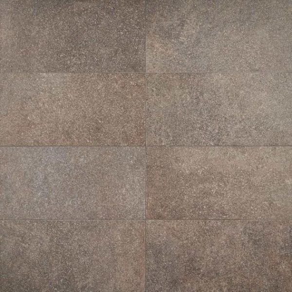 Bathroom | 1 sq. ft. FusionTech Berlin Brown 12×24 Matte Porcelain Tile Brown/Red Bathroom Bathroom