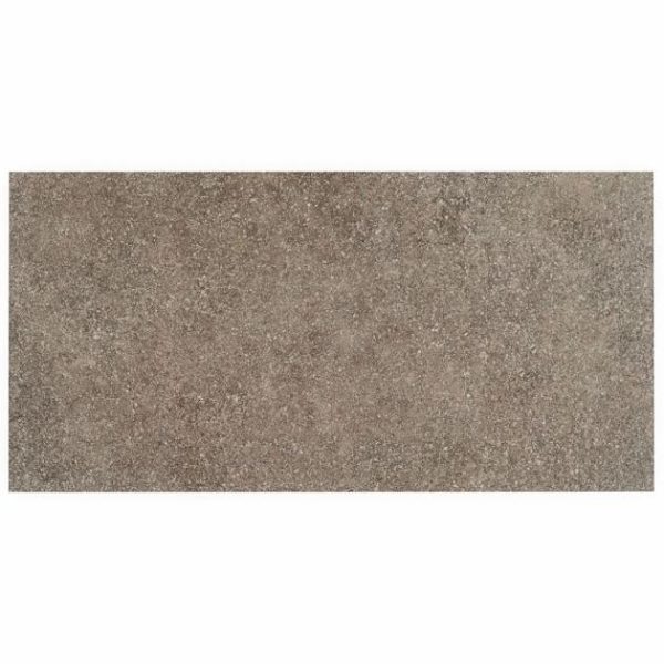 Bathroom | 1 sq. ft. FusionTech Berlin Brown 12×24 Matte Porcelain Tile Brown/Red Bathroom Bathroom