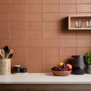 Bathroom | 1 sq. ft. Stacy Garcia Maddox Frame Terracotta 4×8 Matte Ceramic Subway Tile Frame Terracotta Bathroom Bathroom