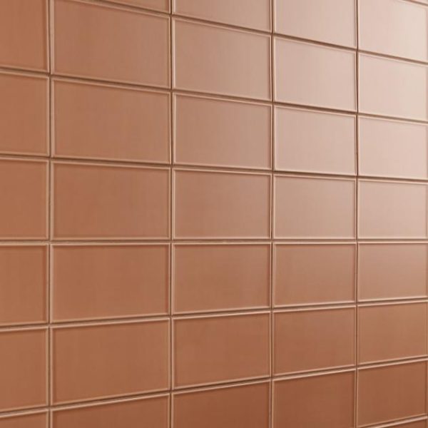 Bathroom | 1 sq. ft. Stacy Garcia Maddox Frame Terracotta 4×8 Matte Ceramic Subway Tile Frame Terracotta Bathroom Bathroom