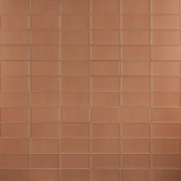 Bathroom | 1 sq. ft. Stacy Garcia Maddox Frame Terracotta 4×8 Matte Ceramic Subway Tile Frame Terracotta Bathroom Bathroom