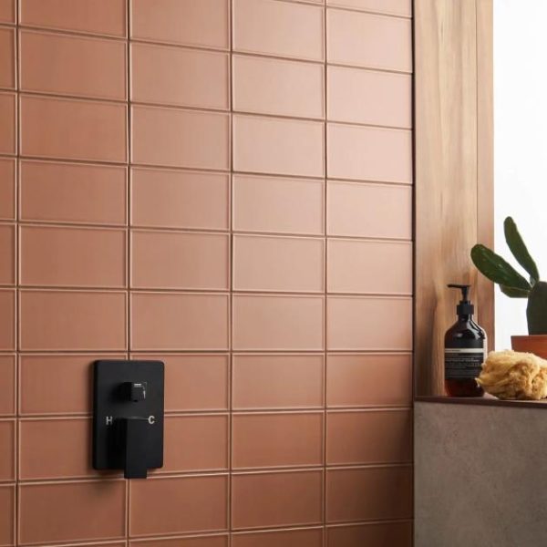 Bathroom | 1 sq. ft. Stacy Garcia Maddox Frame Terracotta 4×8 Matte Ceramic Subway Tile Frame Terracotta Bathroom Bathroom