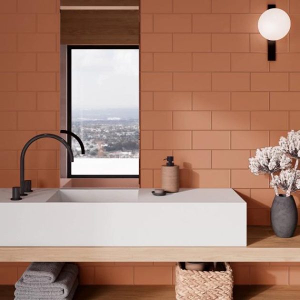 Bathroom | 1 sq. ft. Stacy Garcia Maddox Frame Terracotta 4×8 Matte Ceramic Subway Tile Frame Terracotta Bathroom Bathroom