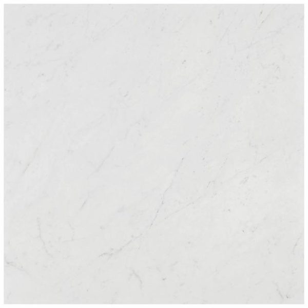 Commercial Floor | 1 sq. ft. DreamStone Carrara Giola 24×24 Matte Porcelain Tile 24X24 Matte Bathroom 24X24 Matte