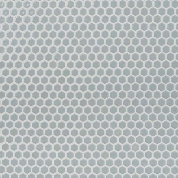 Commercial Floor | 1 sq. ft. Eden Modern Gray Rimmed 1″ Hexagon Polished Porcelain Mosaic Gray Bathroom Bathroom