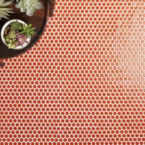 Commercial Floor | 1 sq. ft. Eden Orange Nectar Rimmed 1″ Penny Round Polished Porcelain Mosaic Orange Nectar Bathroom Bathroom