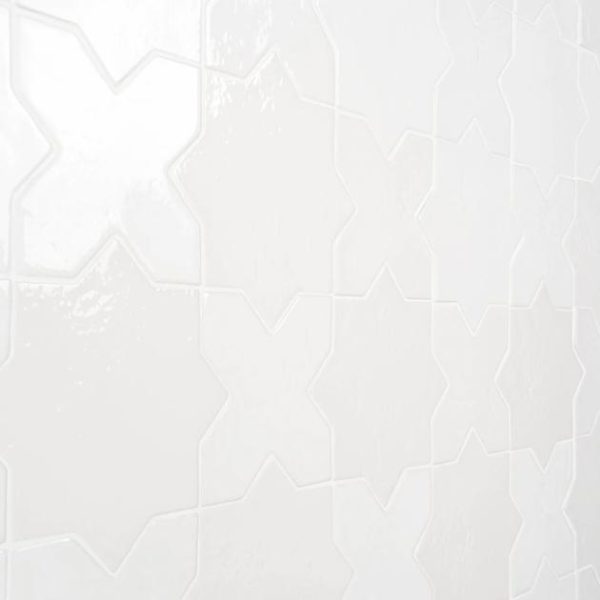 Commercial Floor | 1 sq. ft. Parma Star & Cross Customizable Terracotta Look Porcelain Tile Bathroom Bathroom