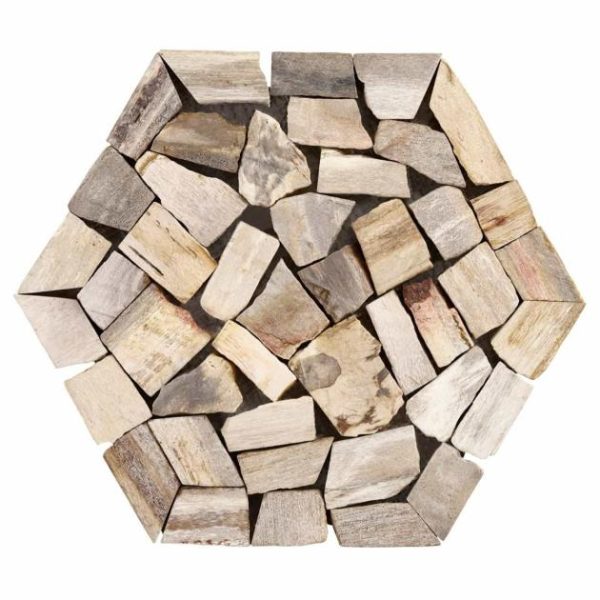 Floor Tiles | 1 sq. ft. Fossil 10″ Hexagon Petrified Stone Mosaic Hexagon Bathroom Bathroom