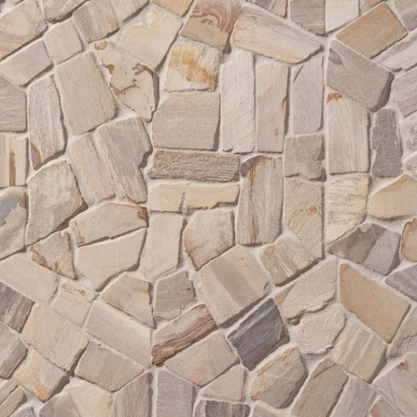 Floor Tiles | 1 sq. ft. Fossil 10″ Hexagon Petrified Stone Mosaic Hexagon Bathroom Bathroom