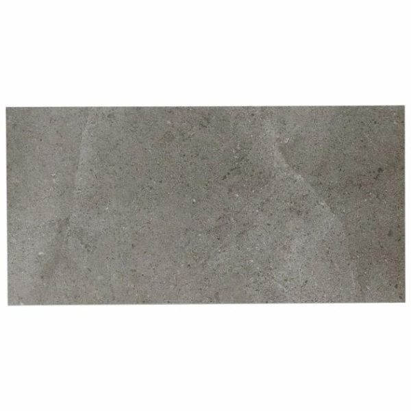 Floor Tiles | 1 sq. ft. New Rock Fossil Dark Gray 12×24 Limestone Look Matte Porcelain Tile Dark Gray Bathroom Bathroom