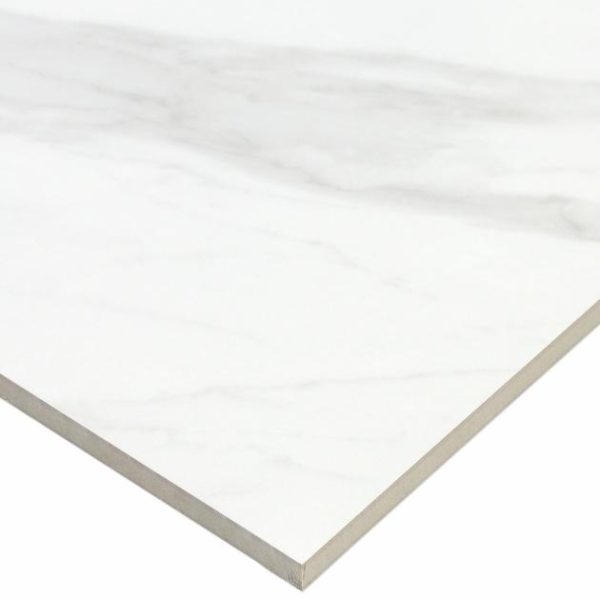 Shower | 1 sq. ft. Basic Marble Bianco White 12×24 Matte Porcelain Tile White Matte Bathroom Bathroom