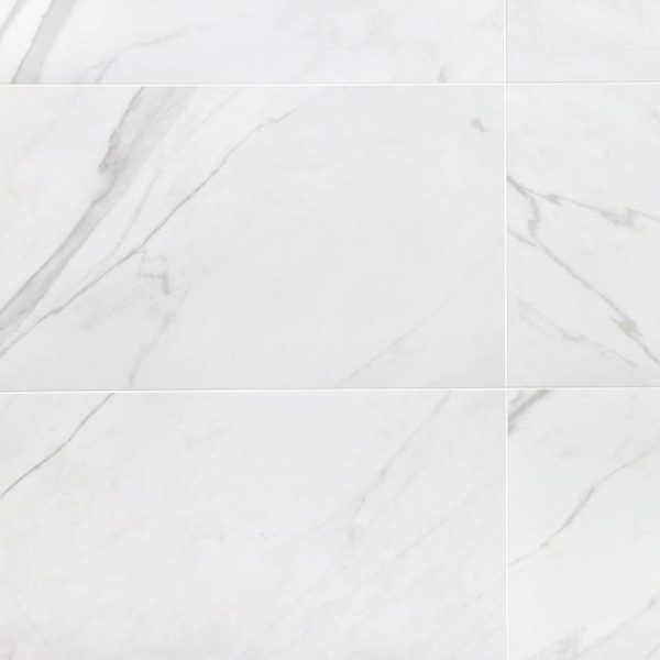 Shower | 1 sq. ft. Basic Marble Bianco White 12×24 Matte Porcelain Tile White Matte Bathroom Bathroom