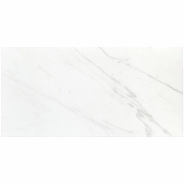 Shower | 1 sq. ft. Basic Marble Bianco White 12×24 Matte Porcelain Tile White Matte Bathroom Bathroom