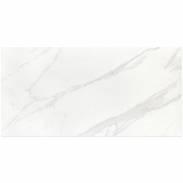 Shower | 1 sq. ft. Basic Marble Bianco White 12×24 Matte Porcelain Tile White Matte Bathroom Bathroom