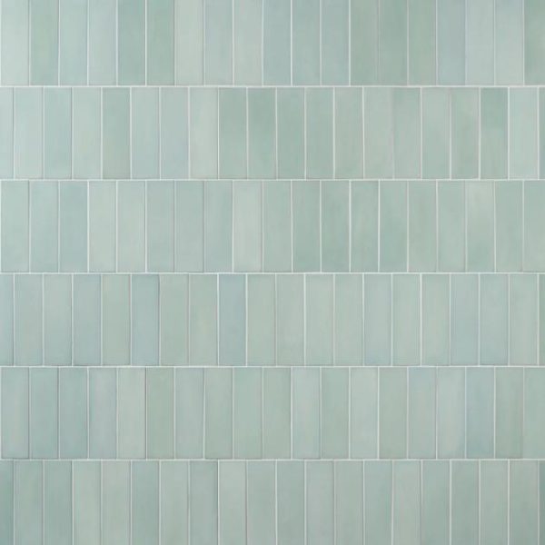 Shower | 1 sq. ft. Color One Robin Egg Blue 2×8 Matte Cement Tile Egg Blue Backsplash & Kitchen Backsplash & Kitchen