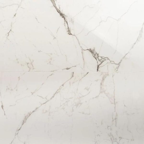 Shower | 1 sq. ft. DreamStone Statuario Venato 24×48 Polished Porcelain Tile Venato Polished Bathroom Bathroom