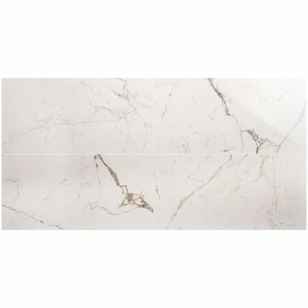 Shower | 1 sq. ft. DreamStone Statuario Venato 24×48 Polished Porcelain Tile Venato Polished Bathroom Bathroom