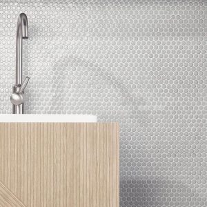 Shower | 1 sq. ft. Eden Antiguan Sky Gray Rimmed 1″ Penny Round Polished Porcelain Mosaic Antiguan Sky Bathroom Antiguan Sky