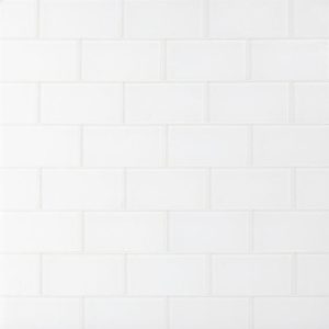 Shower | 1 sq. ft. Loft Super White Frosted 3×6 Glass Subway Wall Tile Super White Frosted Backsplash & Kitchen Backsplash & Kitchen