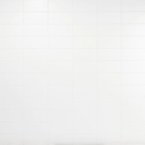 Shower | 1 sq. ft. Stacy Garcia Maddox Frame White 4×8 Matte Ceramic Subway Tile Frame White Bathroom Bathroom