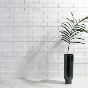 White Thassos | 1 sq. ft. White Thassos 2×4 Beveled Marble Polished Mosaic Tile 2X4 Stone 2X4